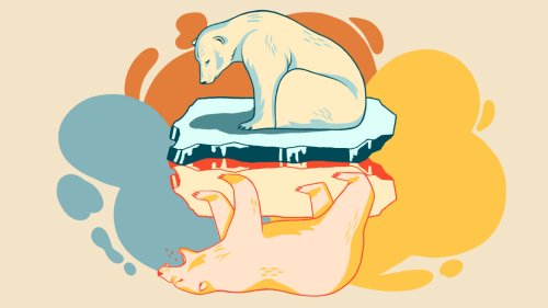 Why the climate movement doesn’t talk about polar bears anymore