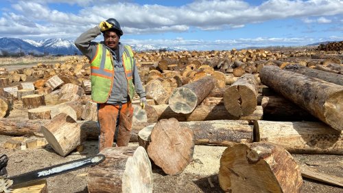 How the Washoe Tribe built a business to sustain a firewood bank that helps elders heat their homes