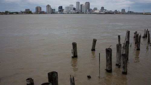 Louisiana’s saltwater wedge is a slow-motion disaster