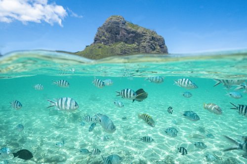 Climate policy has an ocean-sized hole in it. My legislation would change that.
