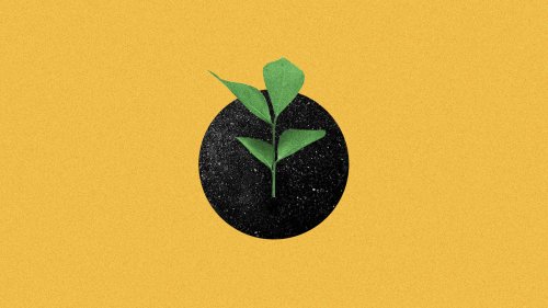 Biochar is a “shovel-ready” climate technology, but can it scale up?