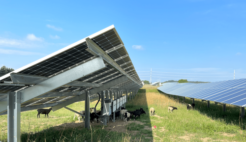 In Michigan, not-so-sunny prospects for solar farms