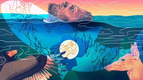 The Secrets of the Last Greenland Shark