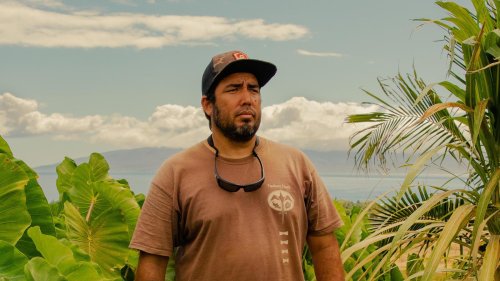 The farmers restoring Hawaii’s ancient food forests that once fed an island