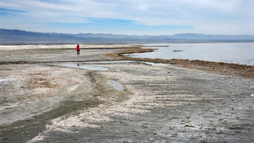 How California's Salton Sea went from vacation destination to toxic nightmare