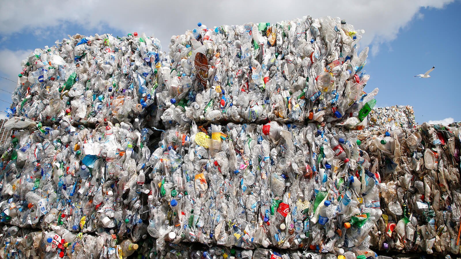 California wants to ban misleading recycling labels. Plastic companies don't.