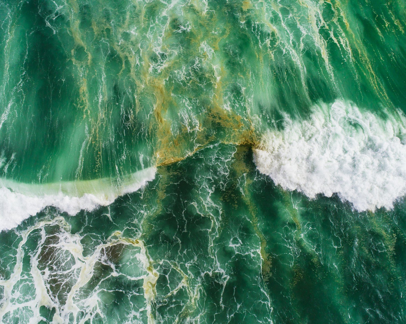 The ocean is turning green. Yes, it's climate change.