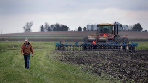 Trump's fertilizer tariffs could disrupt US crop production, from tomatoes to corn