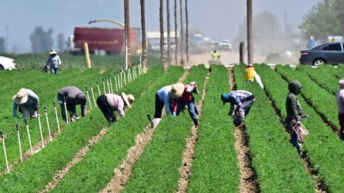 Trump’s USDA tried to erase climate data. This lawsuit forced it back online.