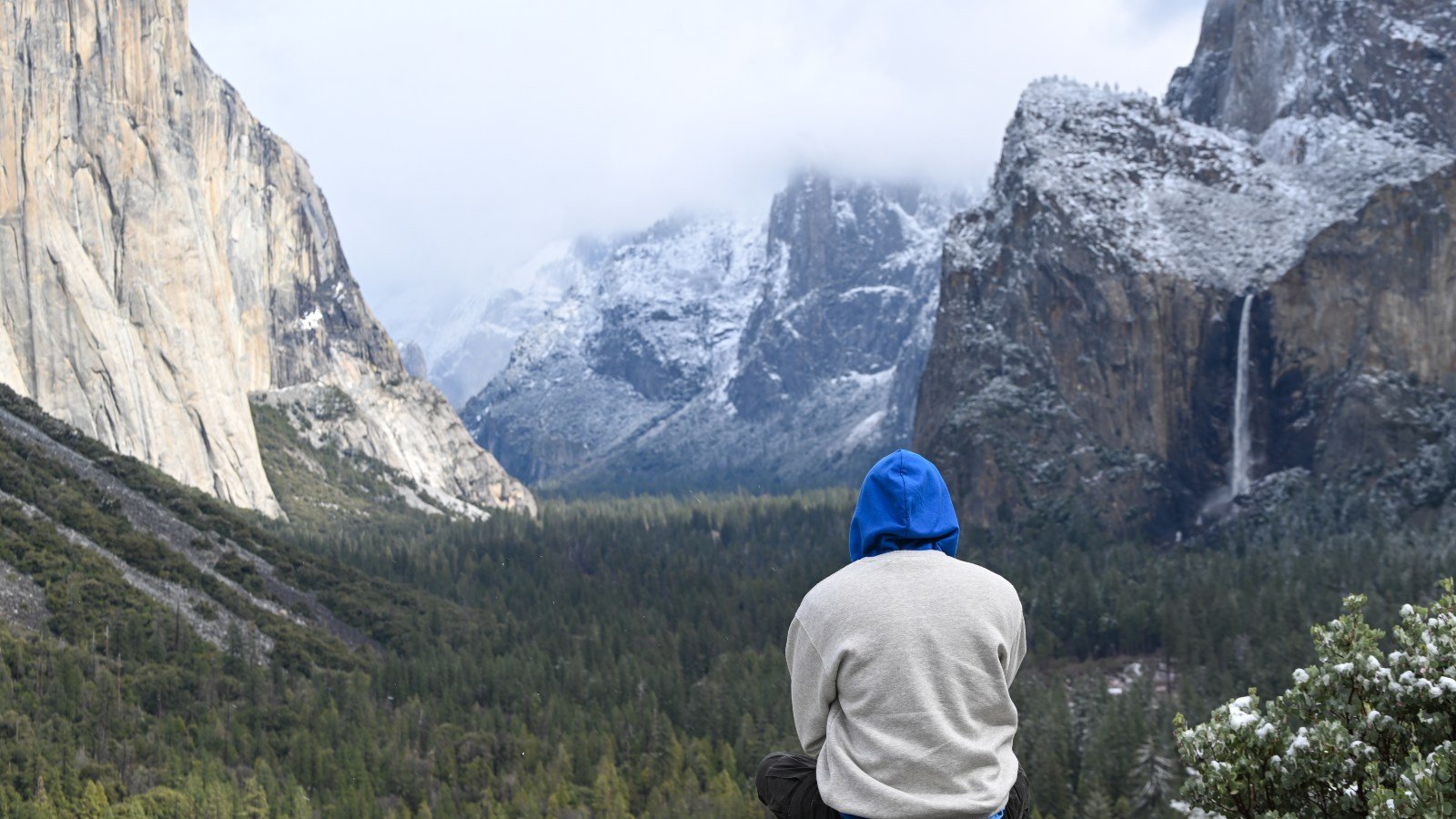 The Trump administration's push to privatize US public lands