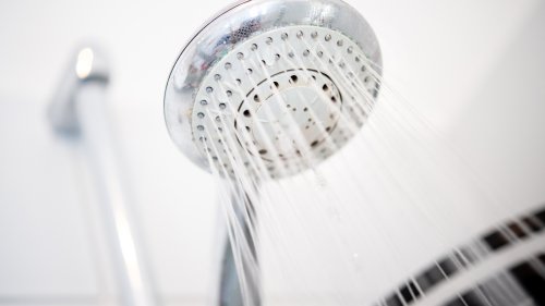 How your showerhead and fridge got roped into the culture wars