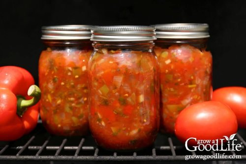 Fire Roasted Salsa Canning Recipe