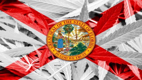 12 bid for Black farmer medical cannabis license in lucrative Florida market