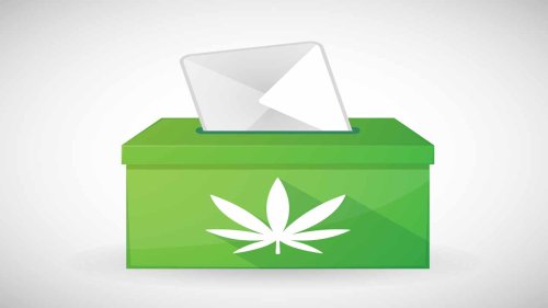 Recreational marijuana legalization certified for November ballot in Missouri