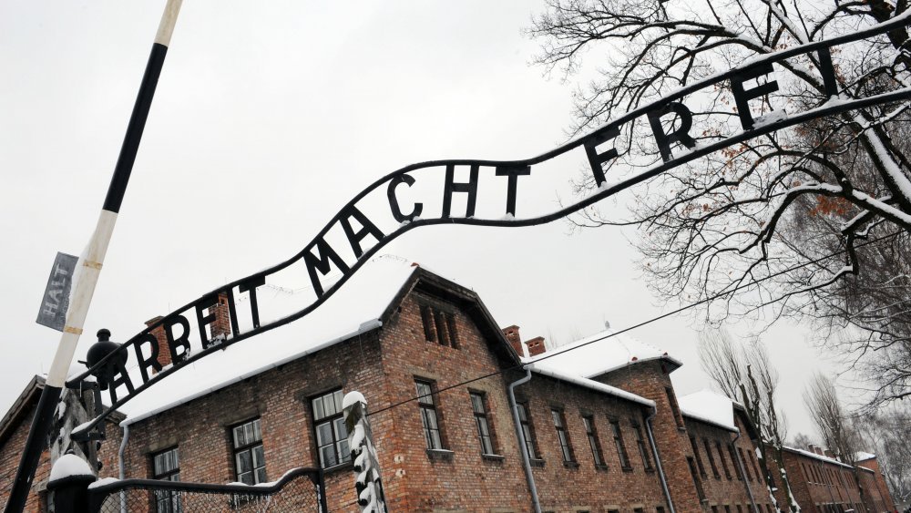 What Your History Class Didn't Teach You About Auschwitz