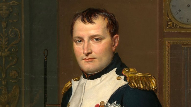 Weird Things About Napoleon You Didn't Know
