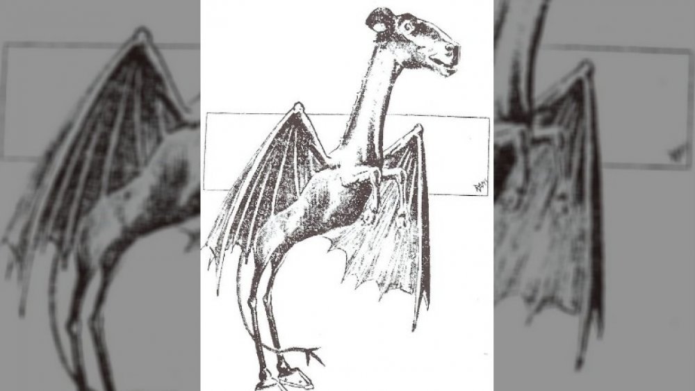 The Legend Of The Jersey Devil Explained