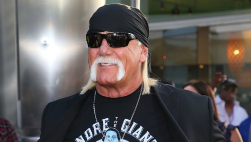 Wrestlers Who Hate Hulk Hogan