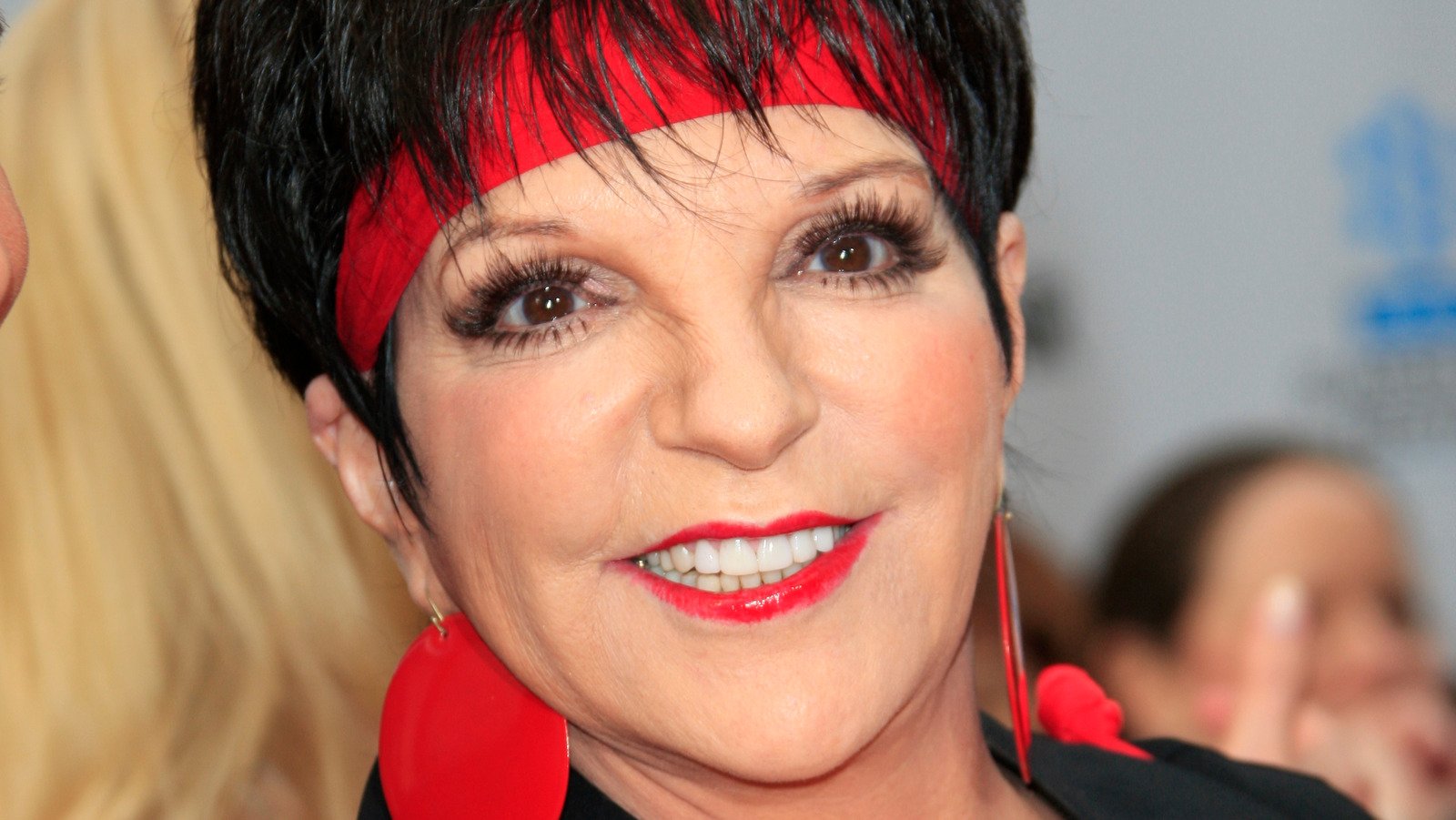 The Truth About Liza Minnelli's Relationship With Halston - Grunge