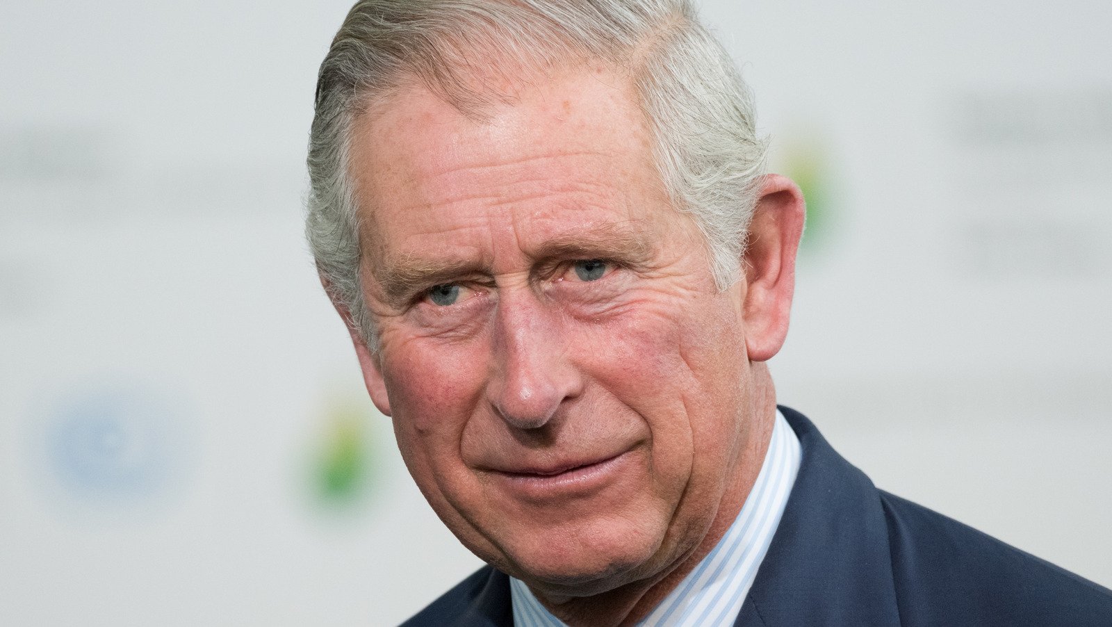 Why Prince Charles Was Questioned By Police After Princess Diana's Death - Grunge