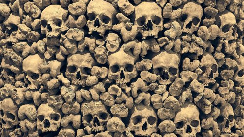 The Largest Mass Graves Ever Discovered