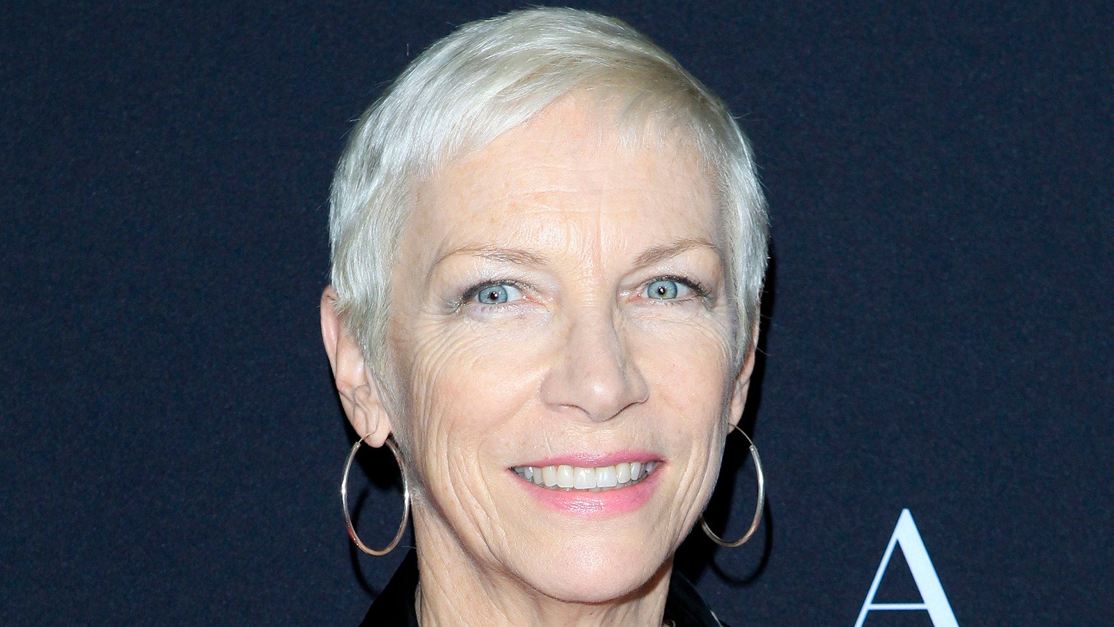 Annie Lennox's Life And Career Through The Years