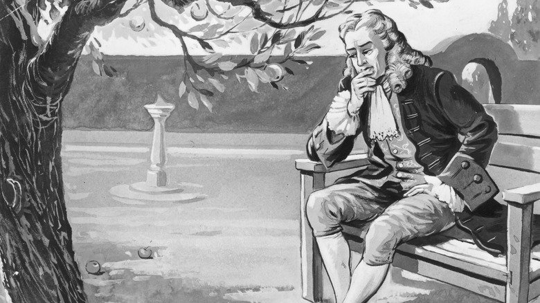 Is It True That An Apple Fell On Isaac Newton's Head?
