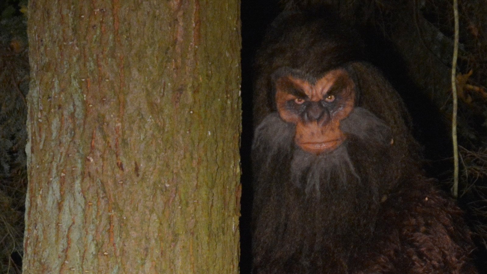 Survey Reveals Surprising Number Of People Who Think Bigfoot Actually Exists - Grunge