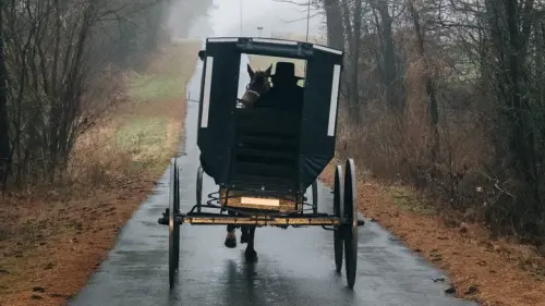How The Amish Drastically Affect The Environment