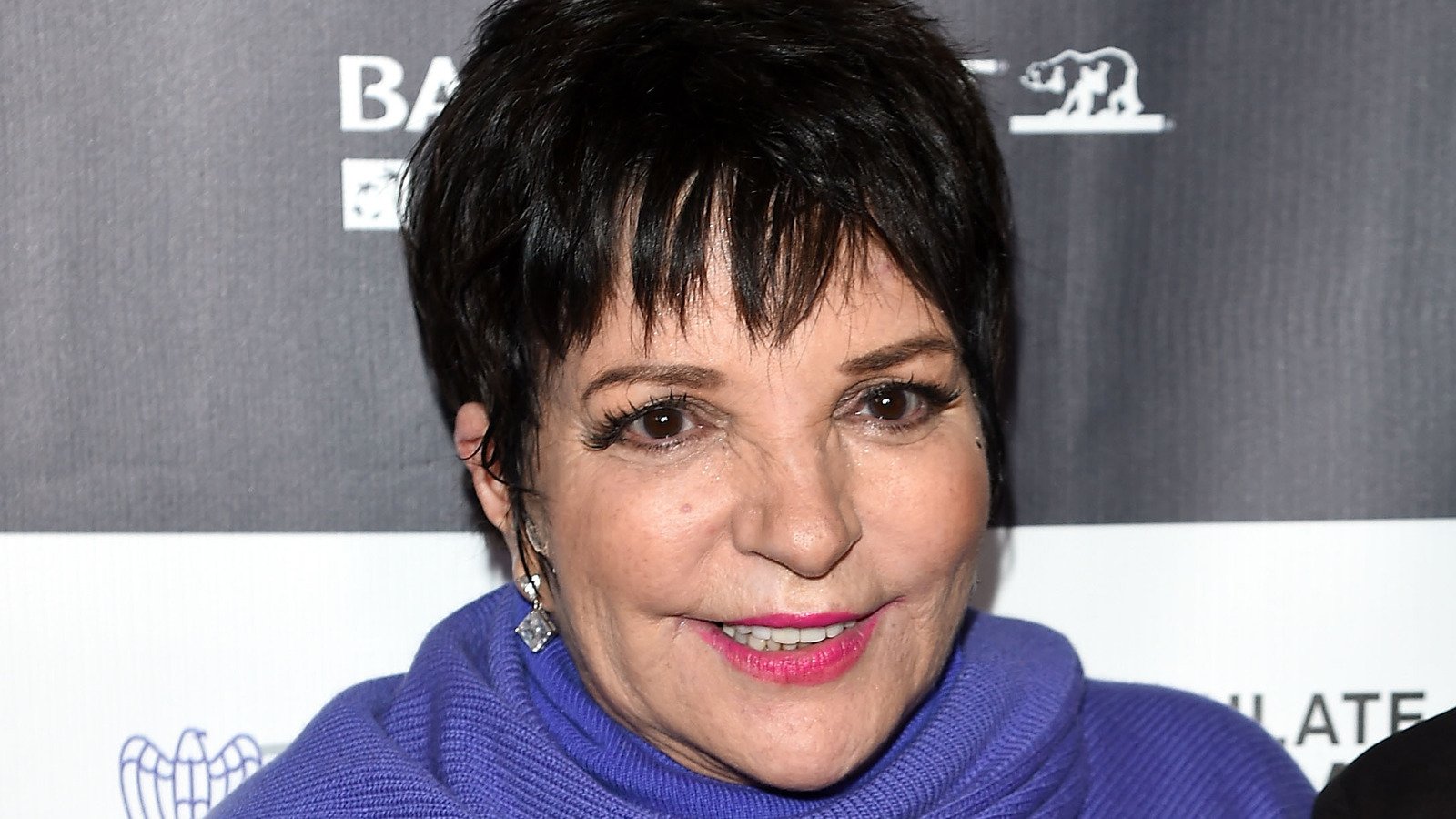 The Iconic Song Liza Minnelli Has Avoided Singing For Most Of Her Career - Grunge