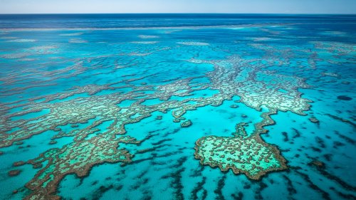 The Terrifying Percentage Of The Great Barrier Reef That We've Lost In The Last Two Decades
