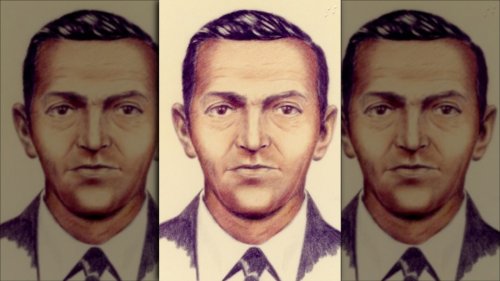 The D.B. Cooper Theory That Would Change Everything - Grunge
