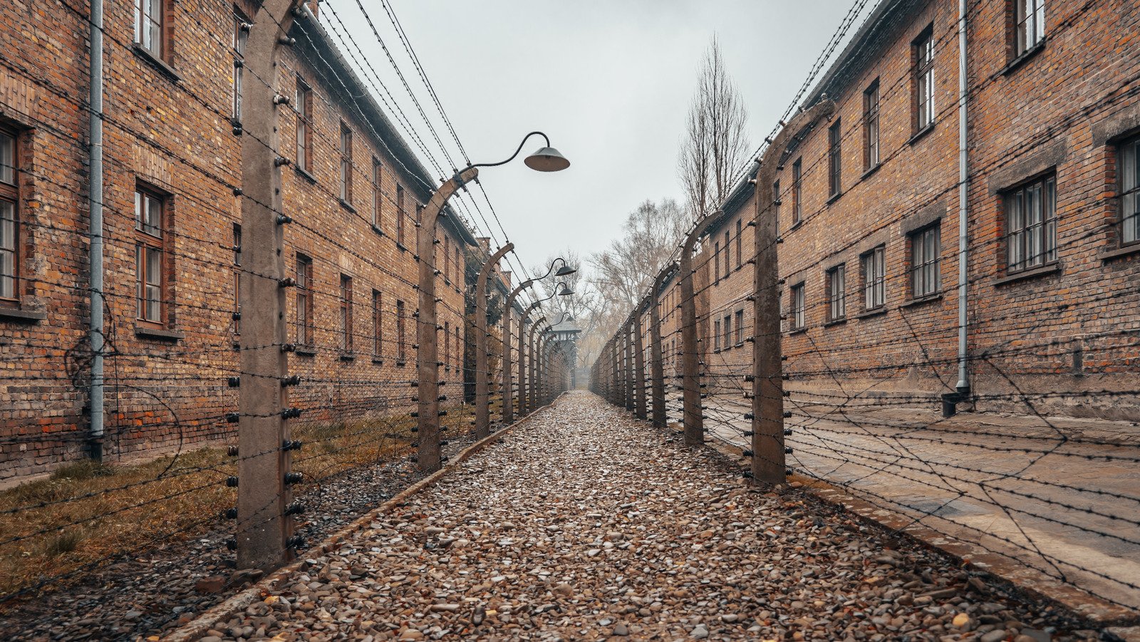 Famous People Who Survived The Holocaust