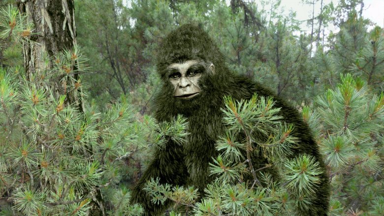 We Finally Know The Bizarre And True Story Behind Bigfoot