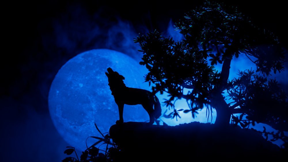 The German Farmer Who Was Executed For Being A Werewolf - Grunge