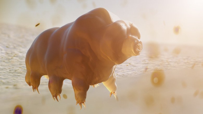 Superpowered Creatures That Can Survive Anything