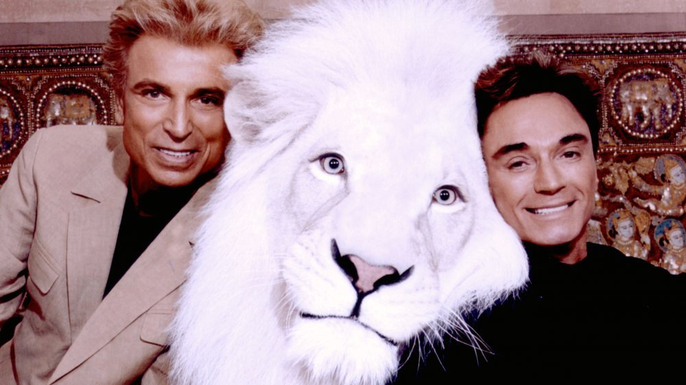 What Happened To Siegfried And Roy's Animals?