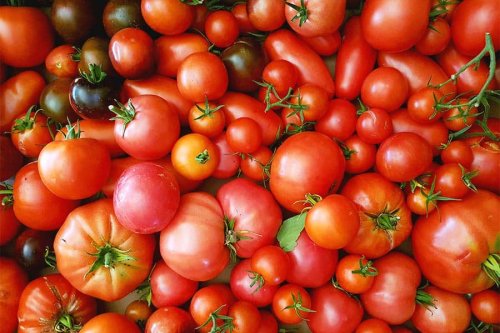 Diese Tomatensauce ist die Basis des guten italienischen Geschmacks