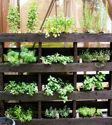 Ideas para montar un jardín vertical