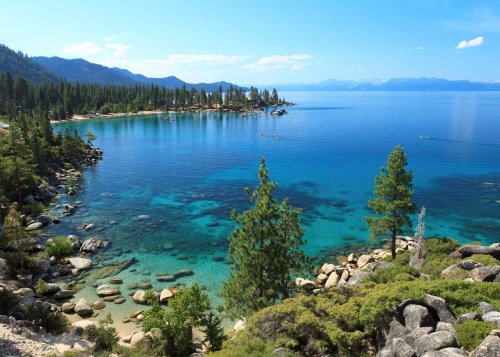 Como ir de San Francisco para o Lago Tahoe de transfer?