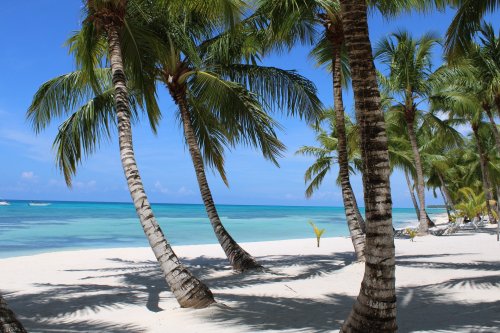 Punta Cana precisa de visto? Documentos e outras dicas
