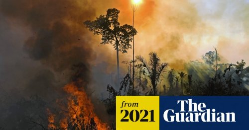 Top scientists warn of 'ghastly future of mass extinction' and climate disruption