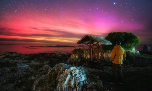 ‘In awe’: New Zealand aurora hunters entranced by unusually bright southern lights display