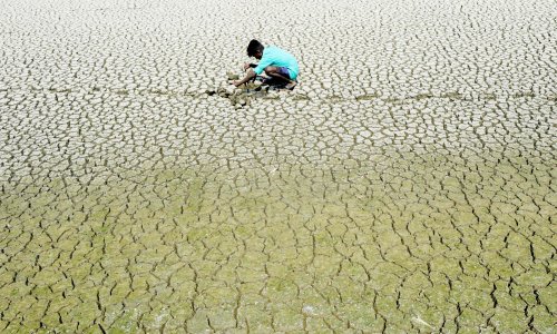 ‘Climate apartheid’: UN expert says human rights may not survive