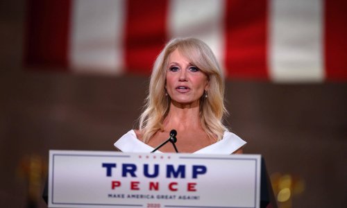 Kellyanne Conway takes aim at Bannon in book but hits Trump in process