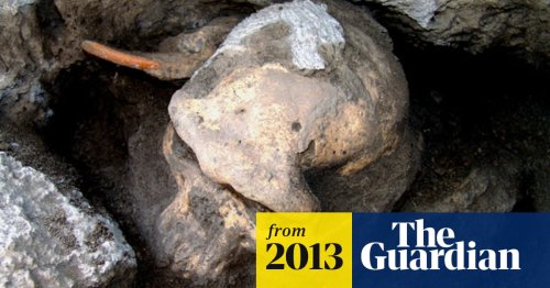 Skull of Homo erectus throws story of human evolution into disarray