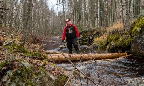 ‘We’re basically starting from zero’: Restoring Finland’s river ecosystems