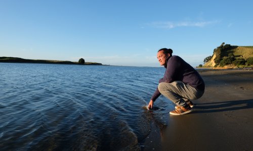 New Zealand’s warming seas threaten Māori food sources relied on for generations