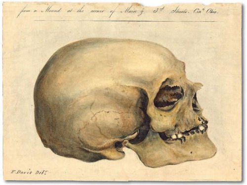 Ivy League university set to rebury skulls of Black people kept for centuries