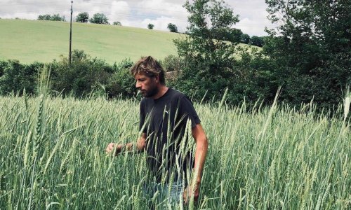 I sold the rights to my songs to buy a farm – now I’m trying to change the way food is grown